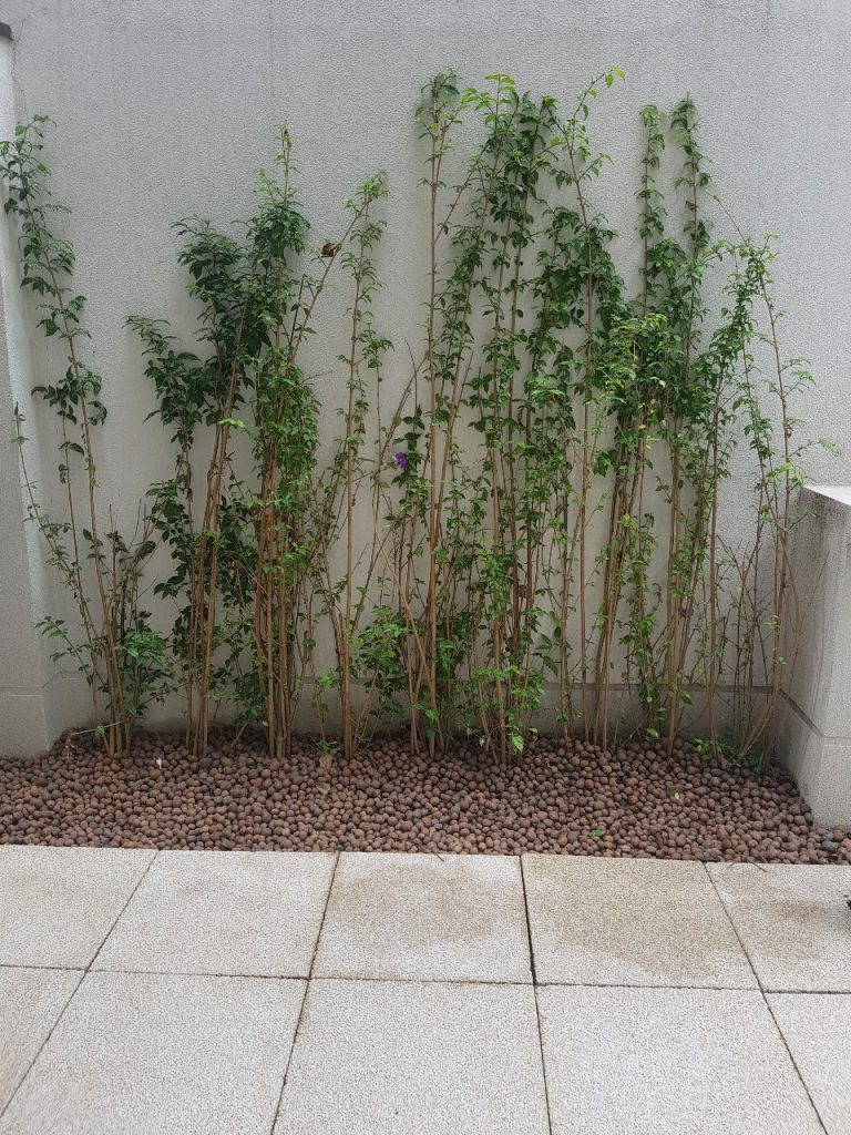 Imóveis Perto do Metrô em SP, seu Blog Imobiliário Conectado